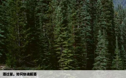 酒过量如何快速解酒