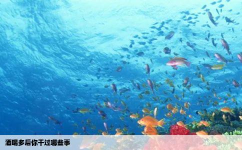 酒喝多后你干过哪些事