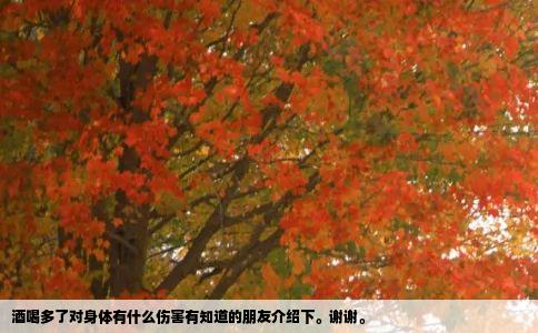 酒喝多了对身体有什么伤害有知道的朋友介绍下谢谢