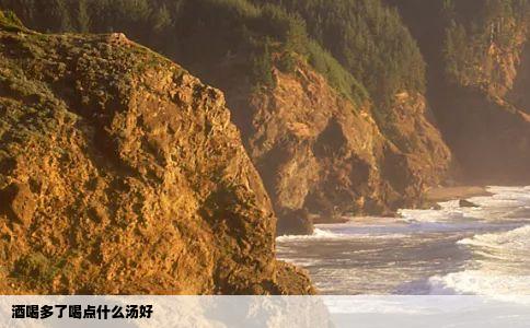 酒喝多了喝点什么汤好