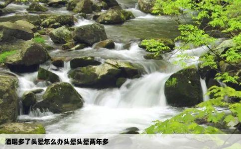 酒喝多了头晕怎么办头晕头晕两年多