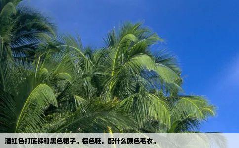 酒红色打底裤和黑色裙子棕色鞋配什么颜色毛衣