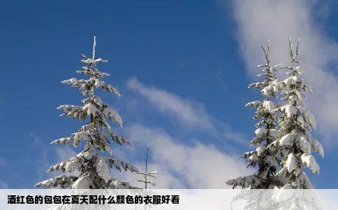 酒红色的包包在夏天配什么颜色的衣服好看
