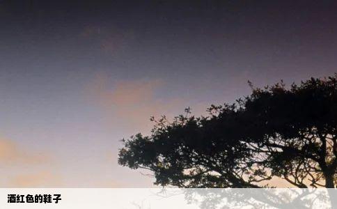 酒红色的鞋子