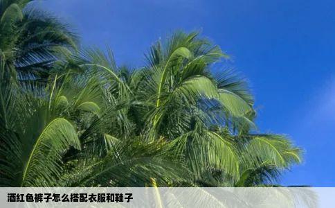 酒红色裤子怎么搭配衣服和鞋子