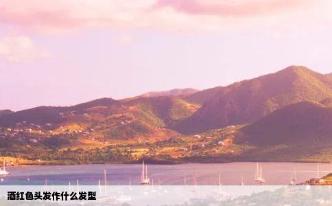 酒红色头发作什么发型