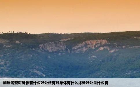 酒后喝茶对身体有什么好处还有对身体有什么坏处好处是什么有