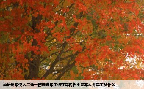 酒后驾车使人二死一伤逃逸车主也在车内但不是本人开车主负什么