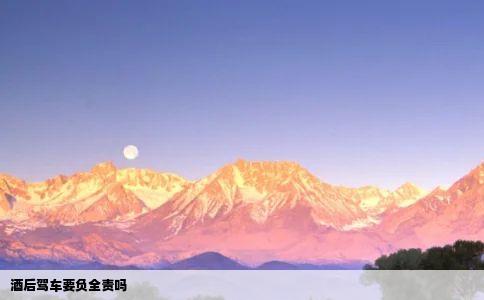 酒后驾车要负全责吗