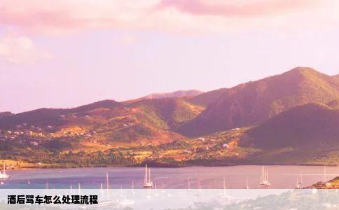 酒后驾车怎么处理流程