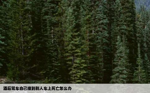 酒后驾车自己撞到别人车上死亡怎么办