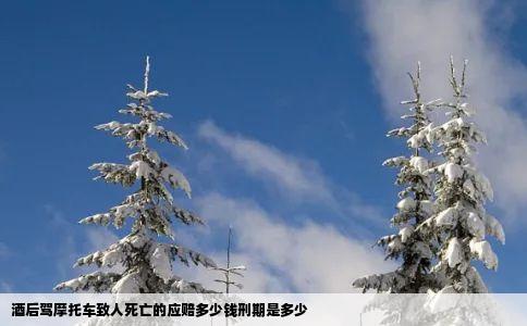 酒后驾摩托车致人死亡的应赔多少钱刑期是多少