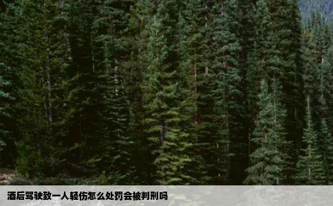 酒后驾驶致一人轻伤怎么处罚会被判刑吗