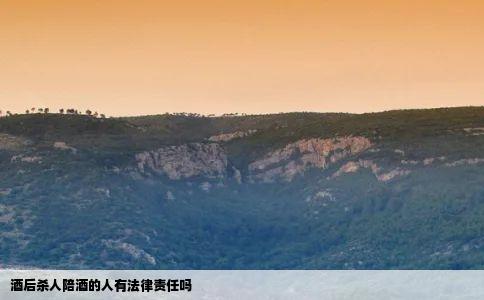 酒后杀人陪酒的人有法律责任吗