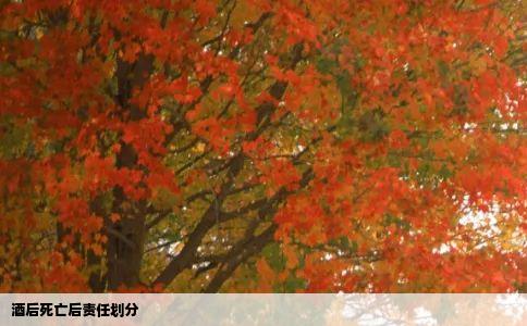 酒后死亡后责任划分