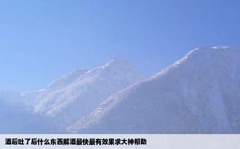 酒后吐了后什么东西解酒最快最有效果求大神帮助