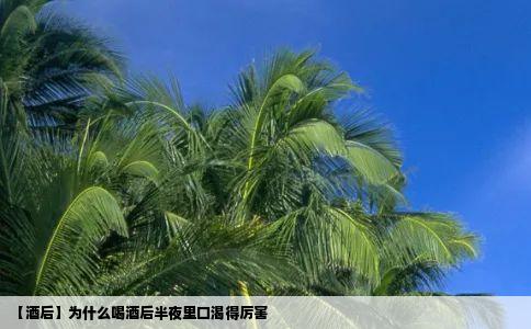 酒后为什么喝酒后半夜里口渴得厉害