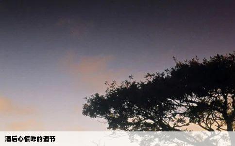酒后心慌咋的调节