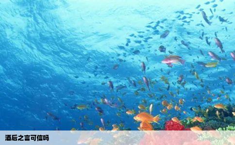 酒后之言可信吗