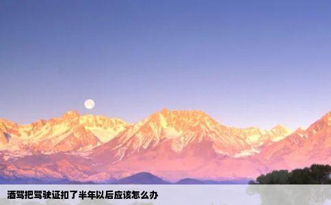 酒驾把驾驶证扣了半年以后应该怎么办