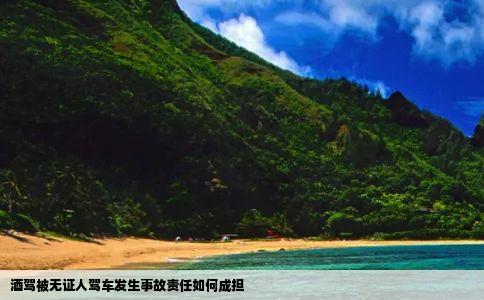 酒驾被无证人驾车发生事故责任如何成担