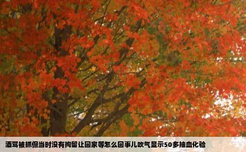 酒驾被抓但当时没有拘留让回家等怎么回事儿吹气显示50多抽血化验