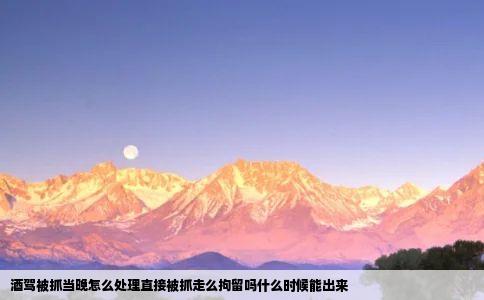 酒驾被抓当晚怎么处理直接被抓走么拘留吗什么时候能出来