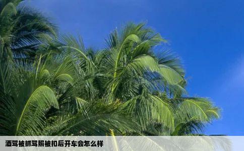 酒驾被抓驾照被扣后开车会怎么样