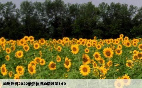 酒驾处罚2022最新标准酒精含量140
