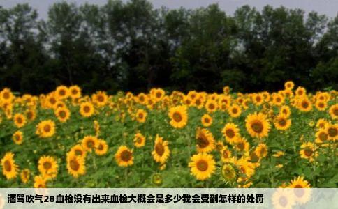 酒驾吹气28血检没有出来血检大概会是多少我会受到怎样的处罚