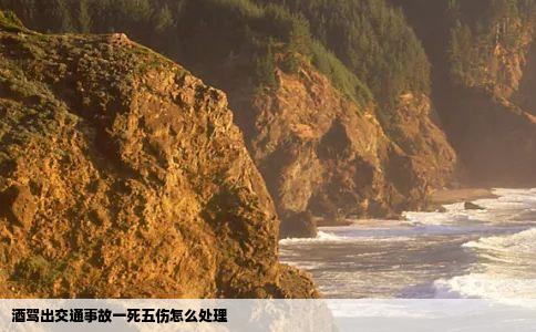 酒驾出交通事故一死五伤怎么处理