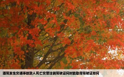 酒驾发生交通事故致人死亡交警注销驾驶证何时能取得驾驶证如何