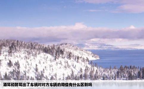 酒驾和醉驾出了车祸对对方车辆的赔偿有什么区别吗