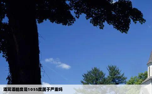 酒驾酒精度是1055度属于严重吗