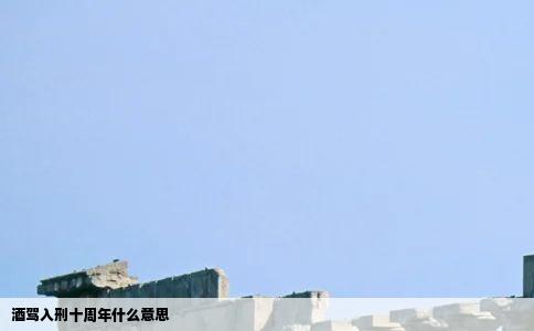 酒驾入刑十周年什么意思