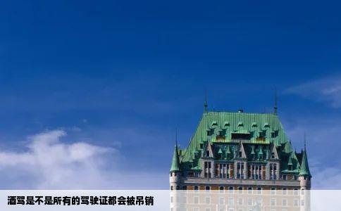 酒驾是不是所有的驾驶证都会被吊销