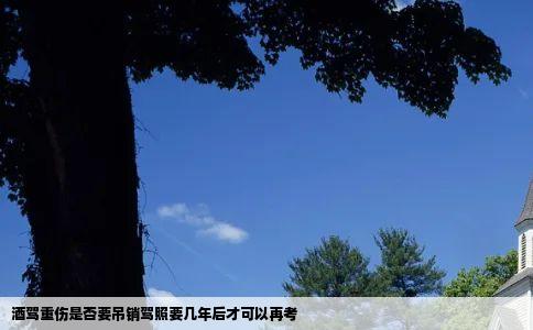 酒驾重伤是否要吊销驾照要几年后才可以再考