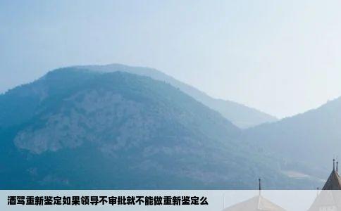 酒驾重新鉴定如果领导不审批就不能做重新鉴定么