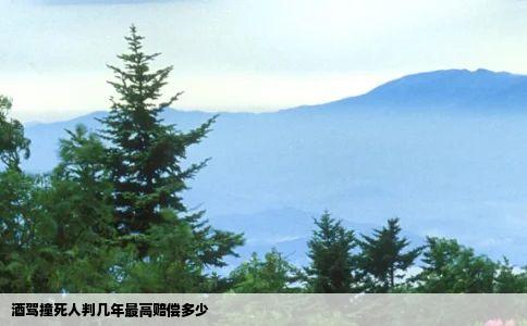 酒驾撞死人判几年最高赔偿多少