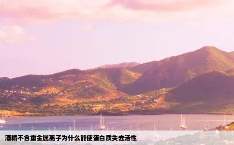 酒精不含重金属离子为什么能使蛋白质失去活性