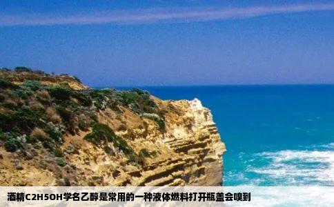 酒精C2H5OH学名乙醇是常用的一种液体燃料打开瓶盖会嗅到