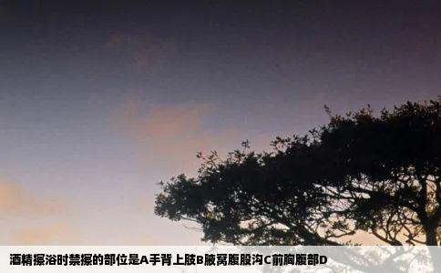 酒精擦浴时禁擦的部位是A手背上肢B腋窝腹股沟C前胸腹部D