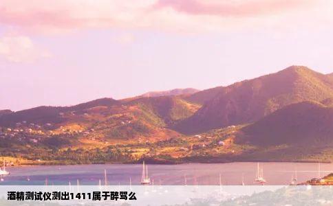 酒精测试仪测出1411属于醉驾么