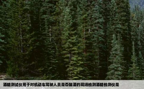 酒精测试仪用于对机动车驾驶人员是否酗酒的现场检测酒精检测仪是