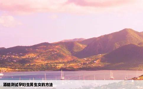 酒精测试孕妇生男生女的方法