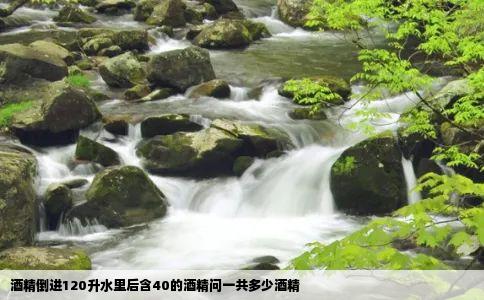 酒精倒进120升水里后含40的酒精问一共多少酒精
