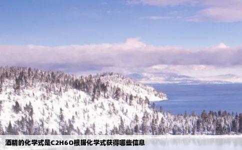 酒精的化学式是C2H6O根据化学式获得哪些信息