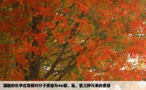 酒精的化学式是相对分子质量为46碳、氢、氧三种元素的质量