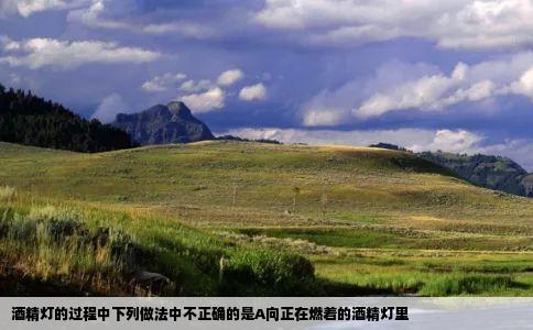 酒精灯的过程中下列做法中不正确的是A向正在燃着的酒精灯里