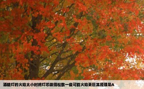 酒精灯的火焰太小时将灯芯拨得松散一些可能火焰更旺其原理是A